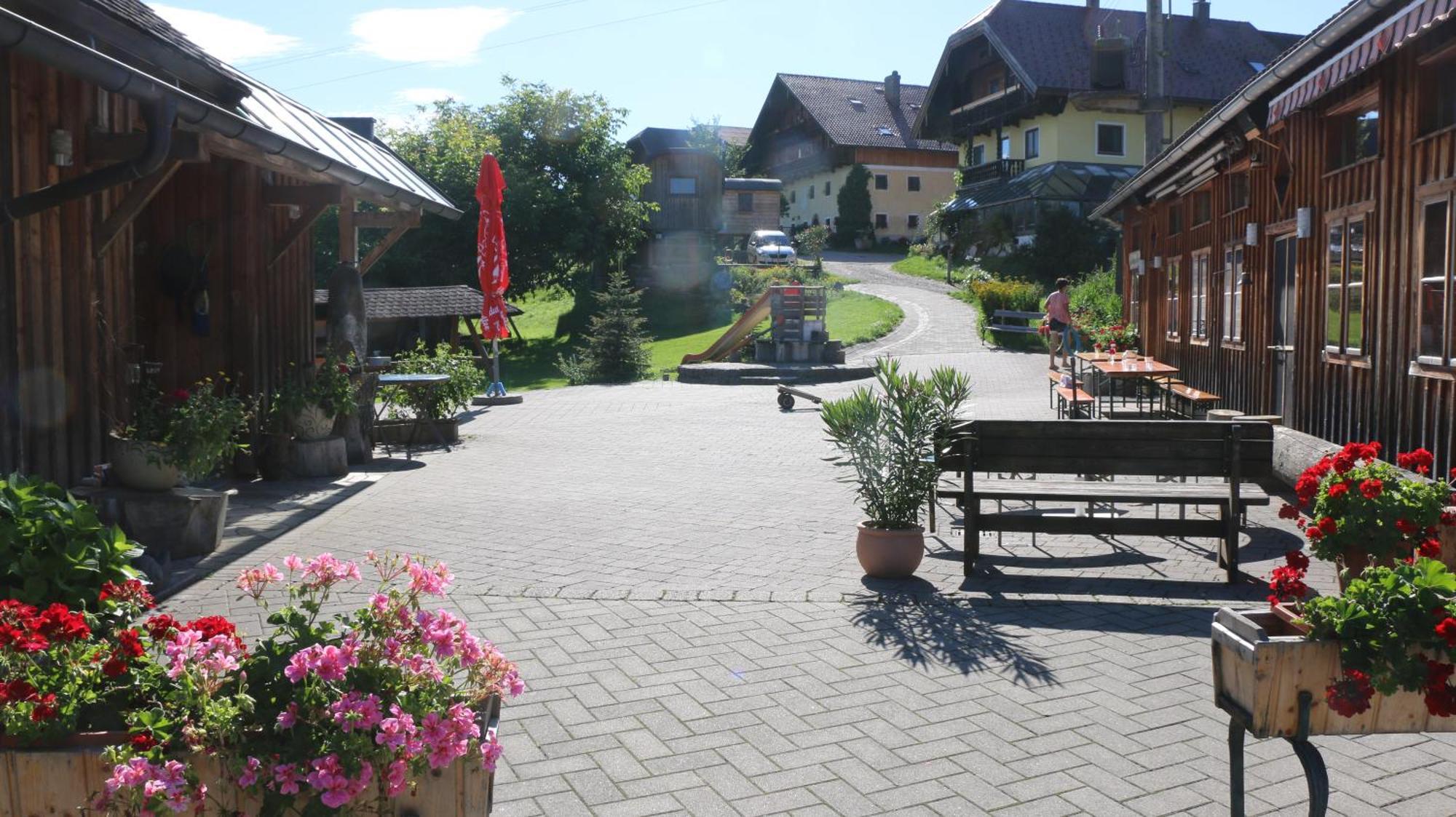 Bio Archehof Zachhiesen Apartment Seekirchen am Wallersee Exterior foto