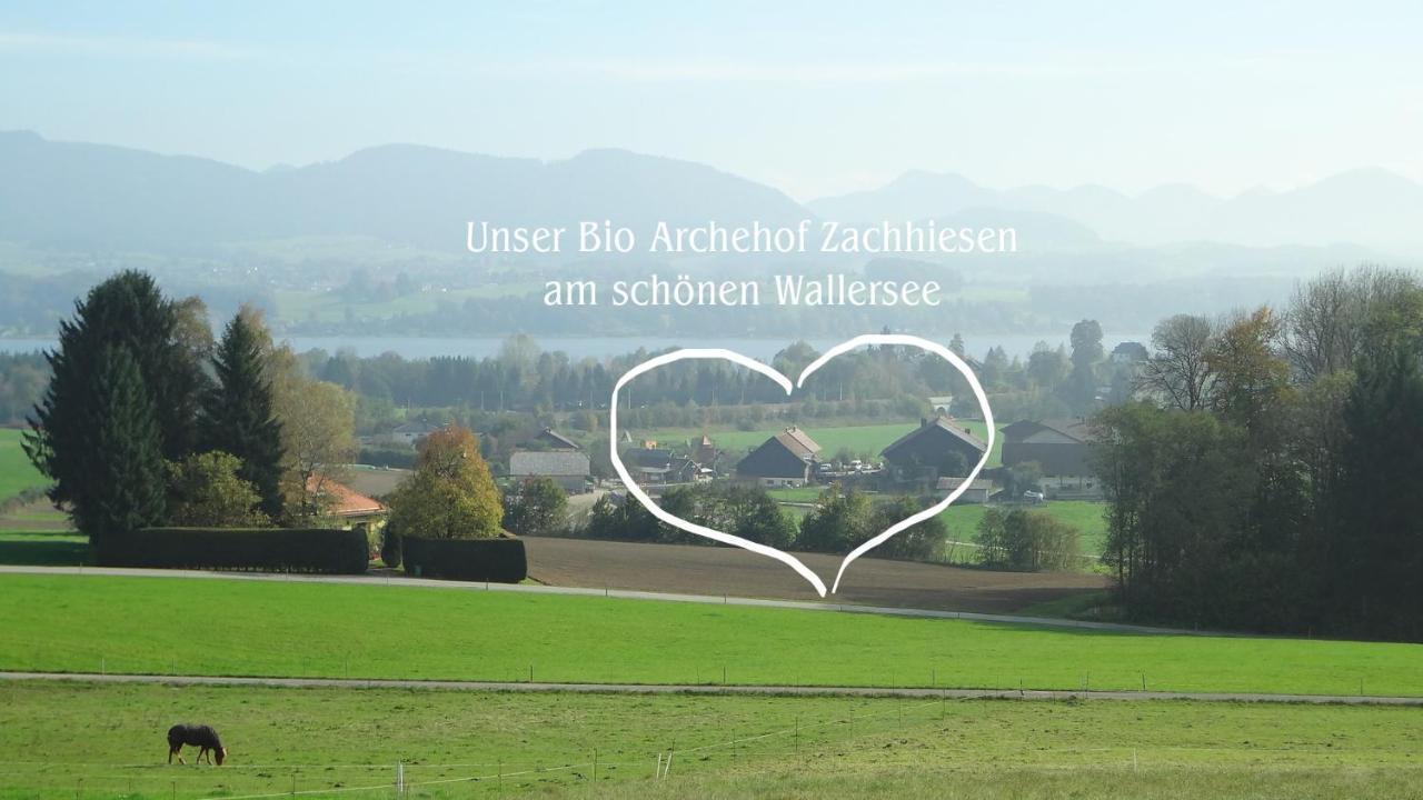 Bio Archehof Zachhiesen Apartment Seekirchen am Wallersee Exterior foto