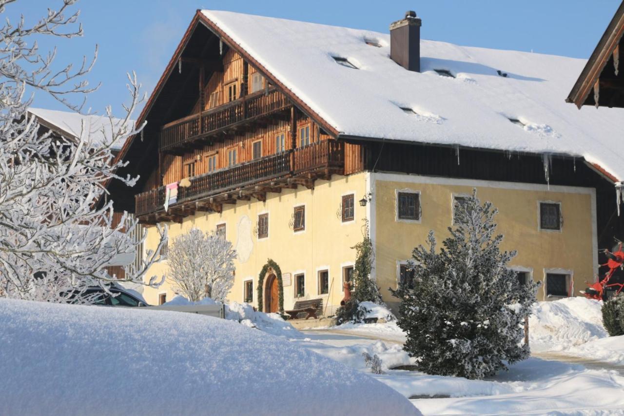 Bio Archehof Zachhiesen Apartment Seekirchen am Wallersee Exterior foto
